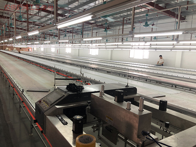 揭阳可爱涤纶挂绳用途有哪些_钜鸿工艺