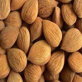 临安市株柳食品厂代理代办服务指南